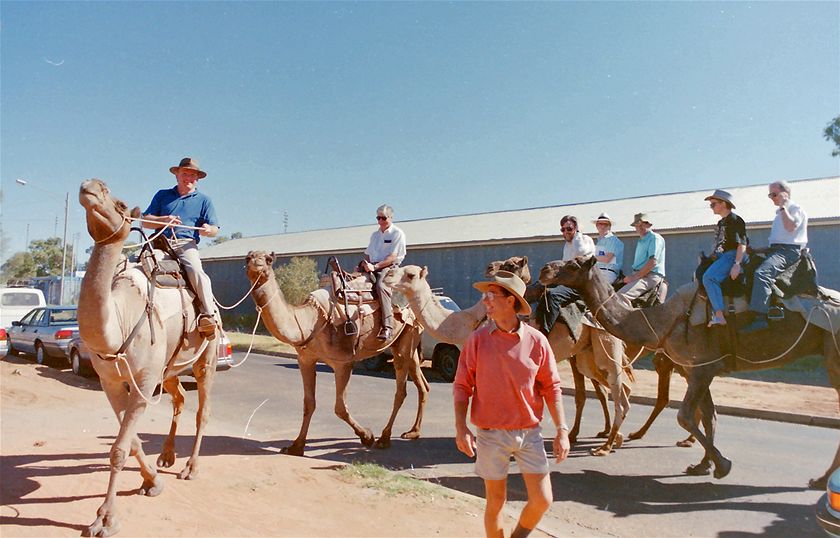 Then ABC Managing Director David Hill riding the lead camel. pic Rae Allen